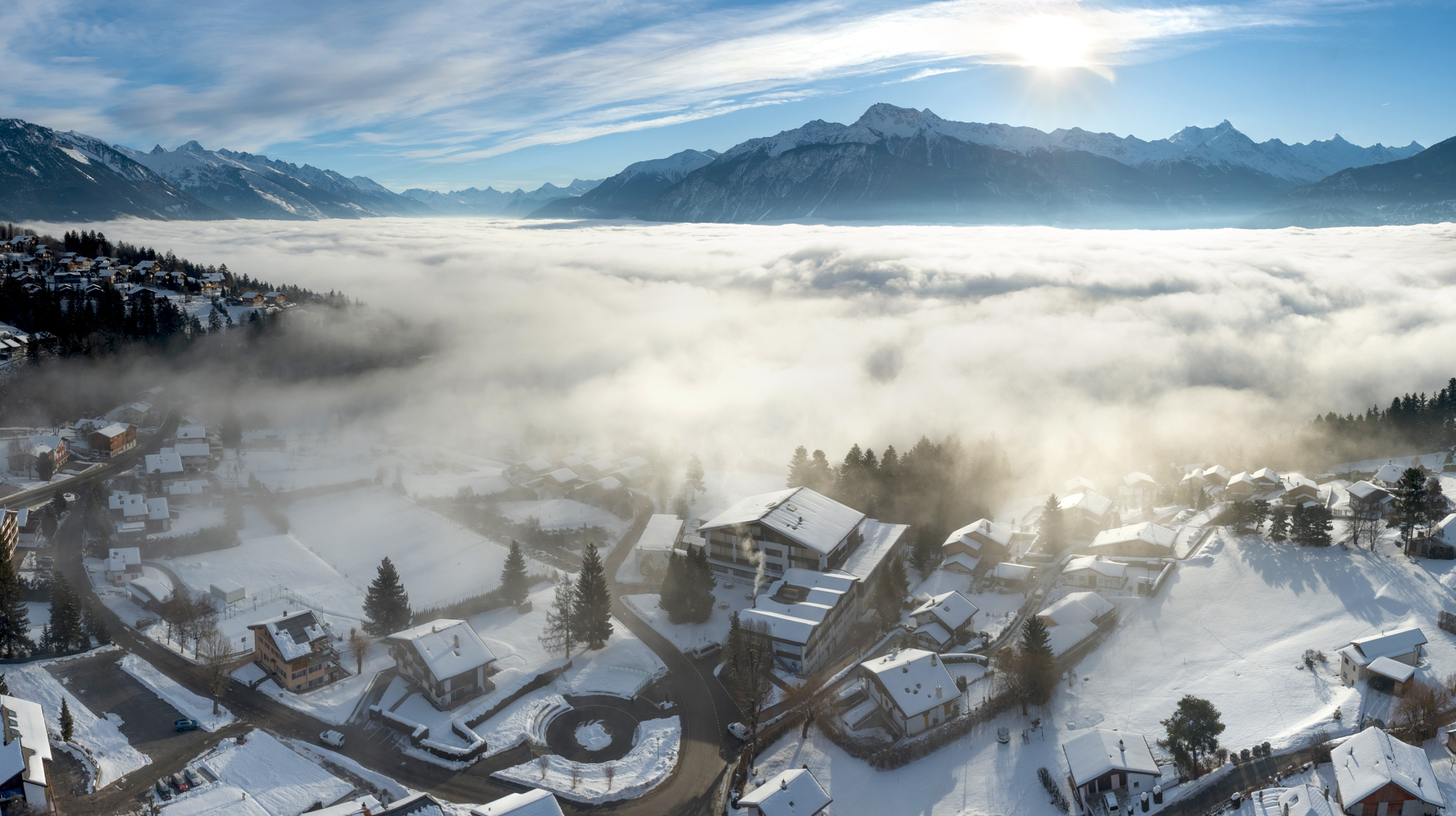 Les Roches MSc progression